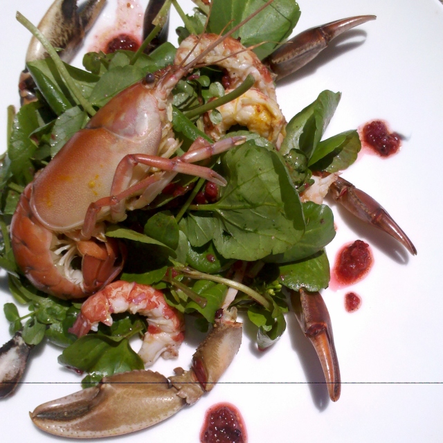 Yabby salad with finger lime and pepperberry dressng